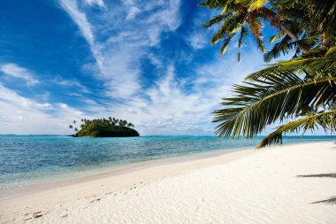 Beautiful tropical beach clipart