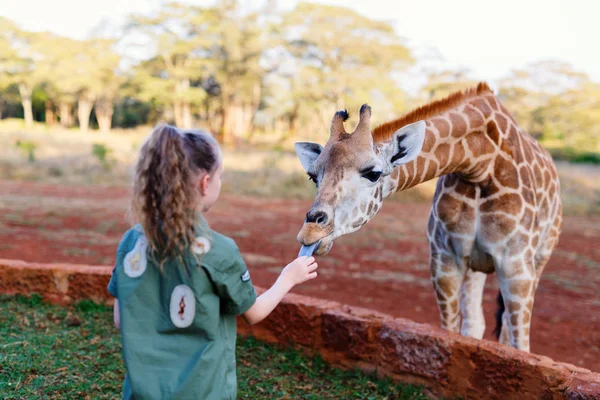 Niña alimentando jirafa — Foto de Stock