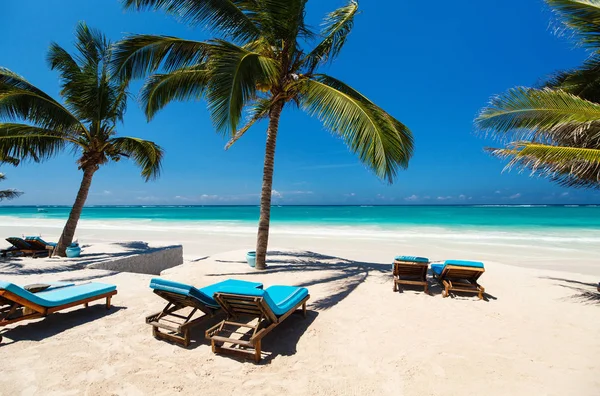 Spiaggia tropicale perfetta — Foto Stock