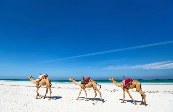 Mère et enfants à la plage tropicale — Photo