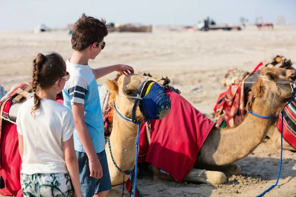 Enfants avec chameaux au désert — Photo