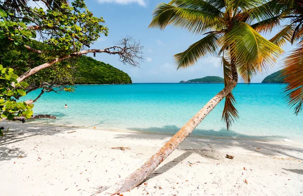 Vacker tropisk strand — Stockfoto