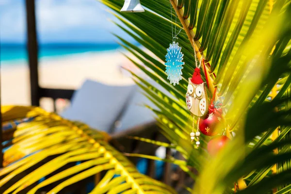 Palm trees decorated for Christmas — Stock Photo, Image