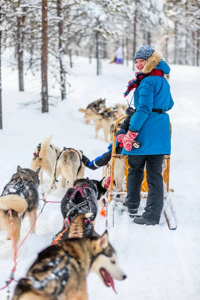Husky dogs are pulling sledge — Stock Photo, Image