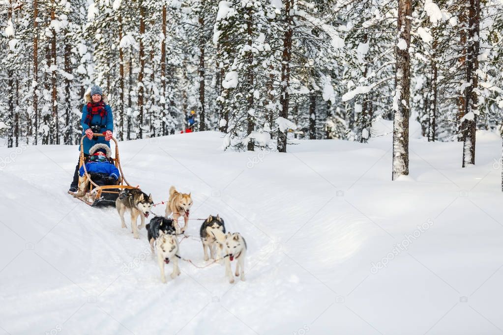 Husky dogs are pulling sledge