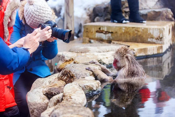 Туристы фотографируют снежную обезьяну — стоковое фото