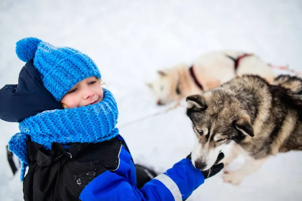 Petite fille avec chien husky — Photo