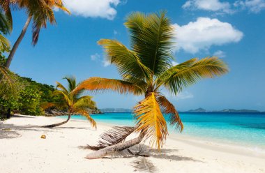 Beautiful tropical beach  clipart