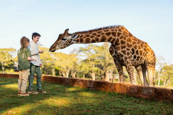 Kids feeding giraffe in Africa — Stock Photo, Image