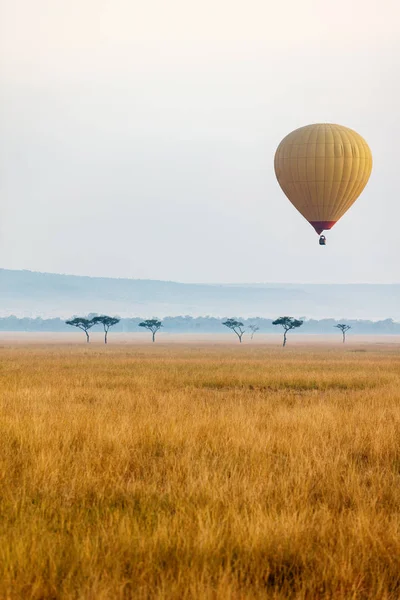 Hot air balloon in Africa Royalty Free Stock Images
