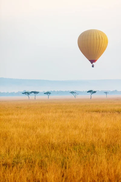 Hot air balloon in Africa Stock Photo