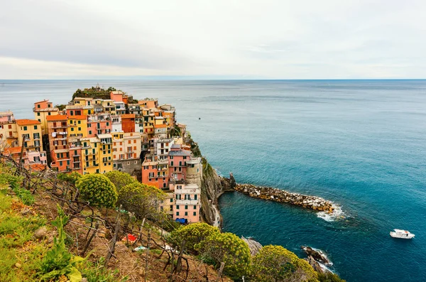 Cinque Terre Manarola köyde — Stok fotoğraf