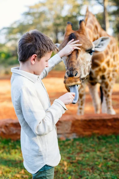 Garçon nourrissant girafe — Photo