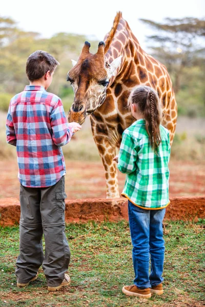 Kids feeding giraffe — Stock Photo, Image