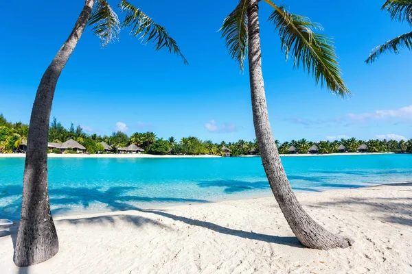 Bela praia em Bora Bora — Fotografia de Stock