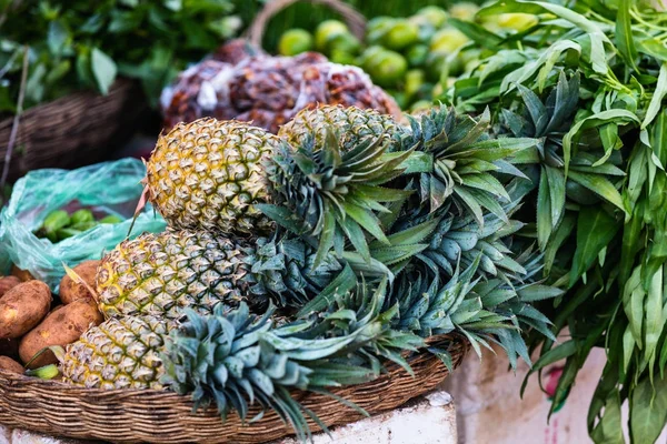 Auswahl an frischen Ananas — Stockfoto