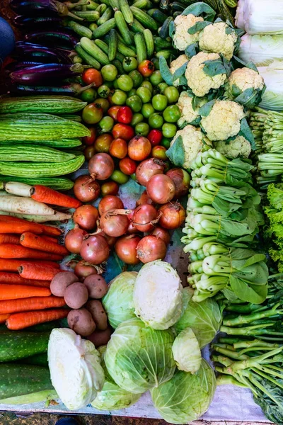 Vielfalt an frischen grünen Kräutern — Stockfoto