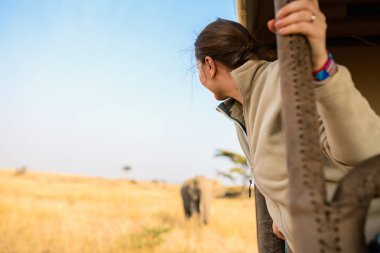 Woman on safari game drive clipart