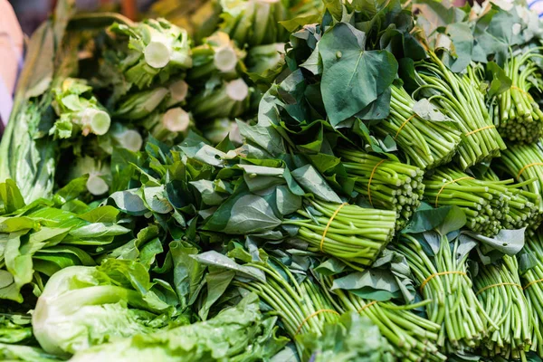 Groene kruiden op markt — Stockfoto