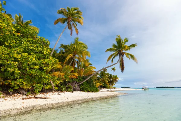 Приголомшливому тропічному пляжі — стокове фото