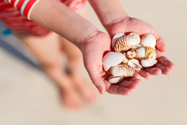 Mädchen hält Muscheln in der Hand — Stockfoto