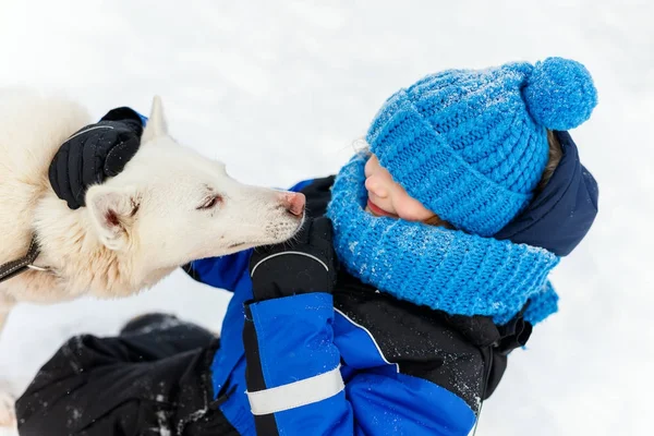 Bambina con cane husky — Foto Stock