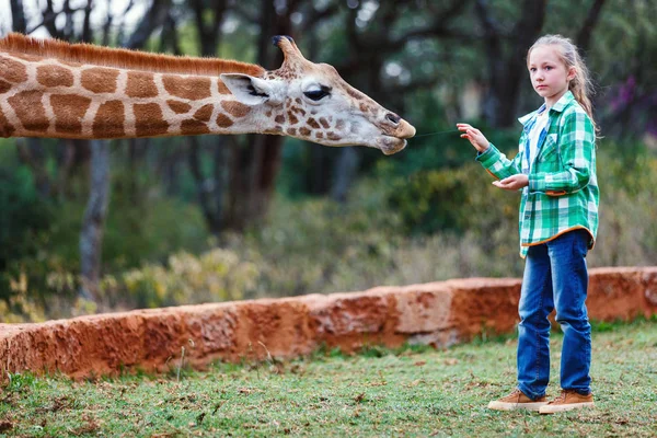 Cute little girl feeding giraffe — Stock Photo, Image