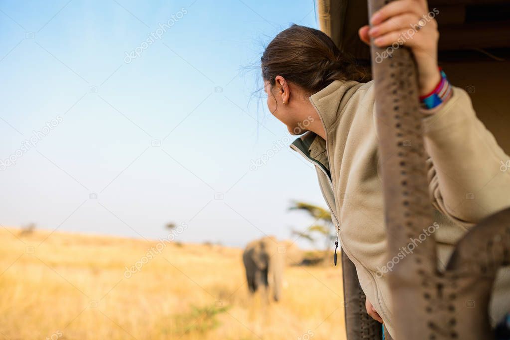 Woman on safari game drive
