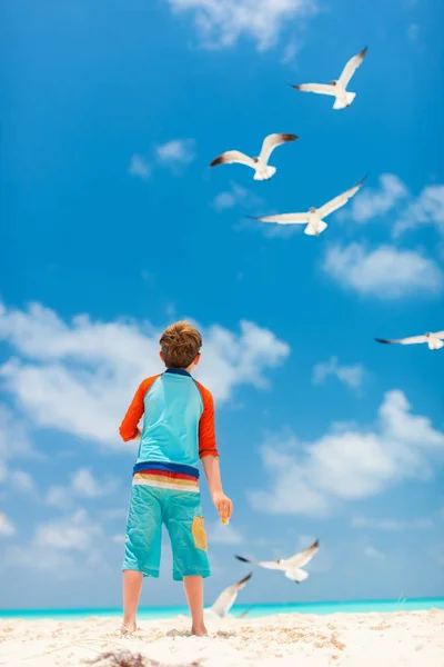 Boy and seagulls — Stock Photo, Image