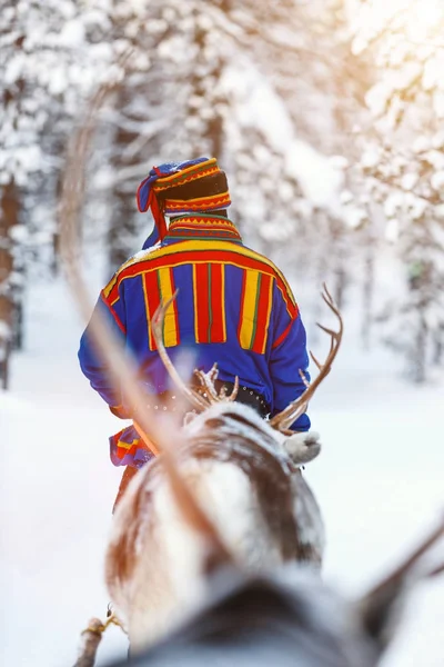 Sami man bei einer Rentiersafari — Stockfoto