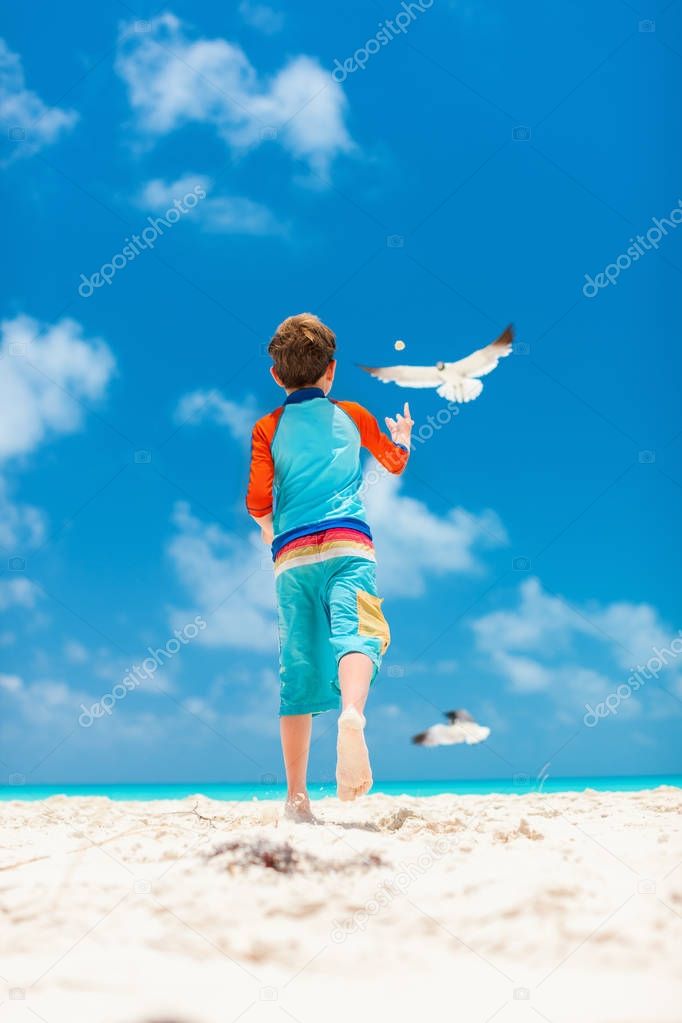 Boy and seagulls