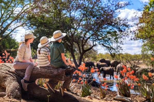 Family safari — Stock Photo, Image