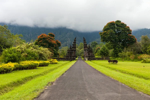 Bali landscape — Stock Photo, Image