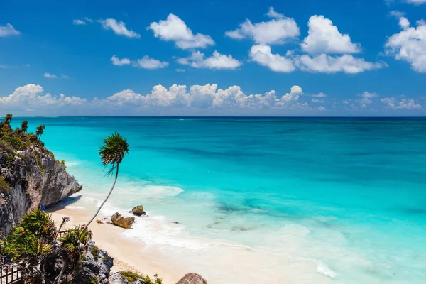 Beautiful Caribbean coast — Stock Photo, Image