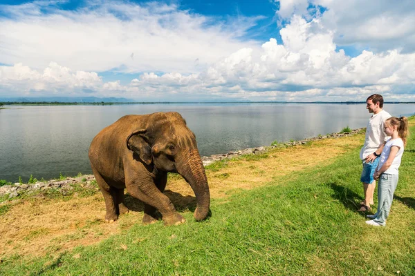 Family at Udawalawe National Park — Stock Photo, Image