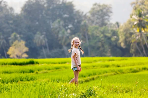 Menina adorável andando no campo de arroz — Fotografia de Stock