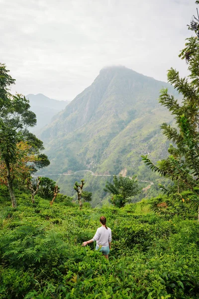 Young woman in tea country — Stock Photo, Image