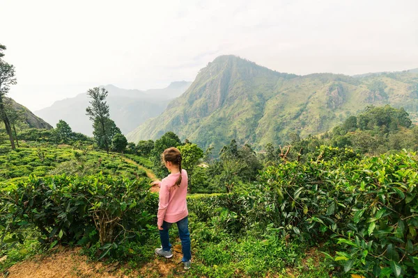 Маленькая девочка в чайной стране — стоковое фото