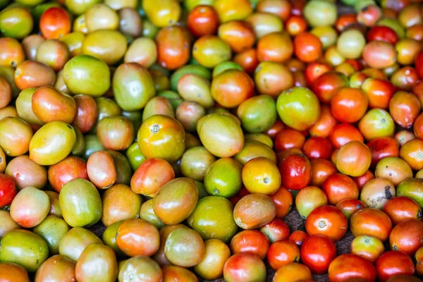 Biologische tomaten in openlucht markt — Stockfoto