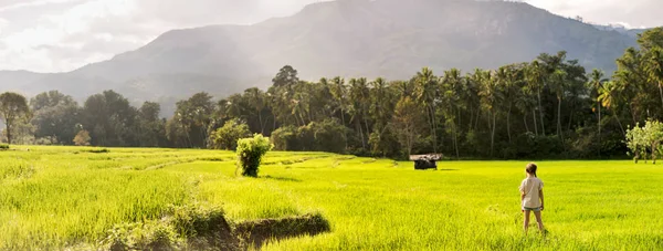 Adorable chica caminando en el campo de arroz — Foto de Stock