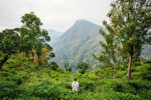 Młoda Kobieta Podziwiająca Zapierające Dech Piersiach Widoki Góry Plantacje Herbaty — Zdjęcie stockowe