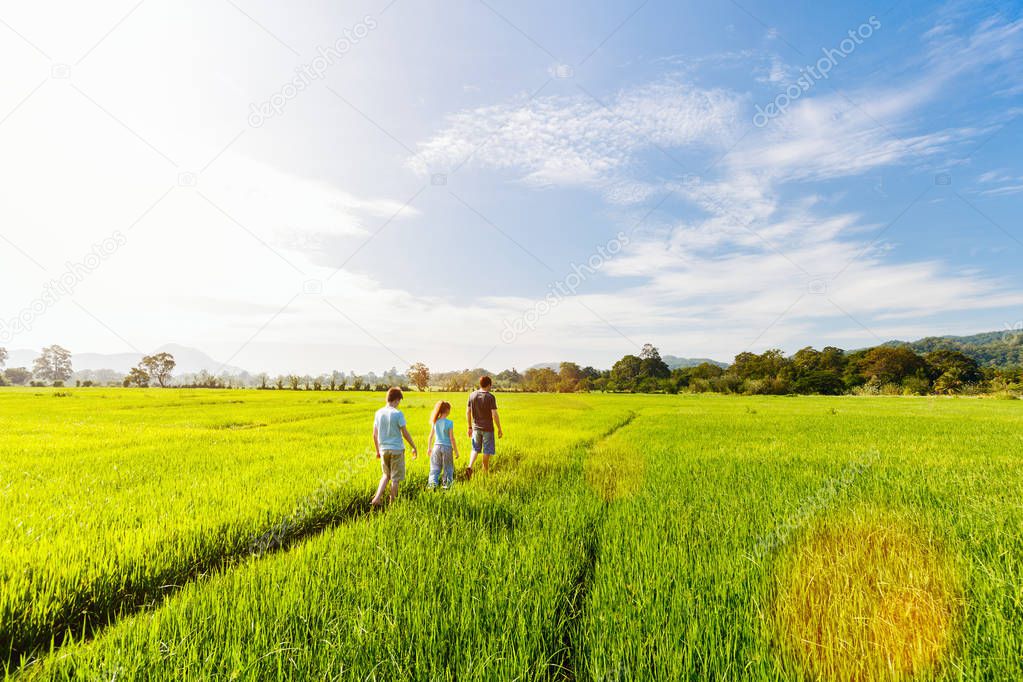 Family of father and two kids enjoying peaceful walk in rice fields with breathtaking views over mountains in Sri Lanka
