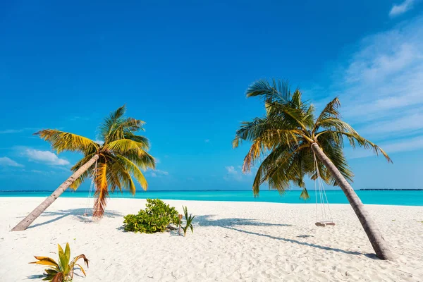 Perfect Tropical White Sand Beach Coconut Palms Stock Picture