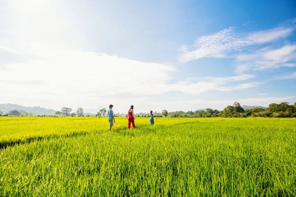 母と平和を楽しんでいる 人の子供の家族はスリランカの山景色と田んぼで歩いてください — ストック写真