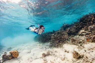 Kadının şnorkelle dalış ve serbest dalış yaparken çekilmiş sualtı fotoğrafı. Mercan resifinde berrak bir tropikal suya.