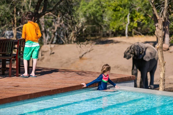 Crianças Férias Safári Africano Desfrutar Vida Selvagem Visualização Perto Piscina — Fotografia de Stock