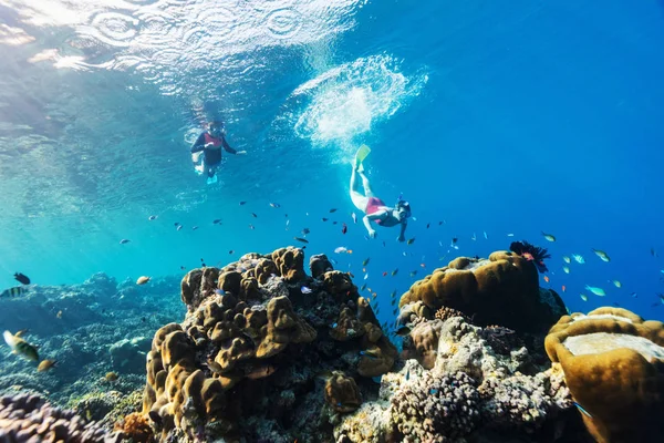 家族母と娘の明確な熱帯水サンゴ礁でシュノーケ リングの水中写真 — ストック写真