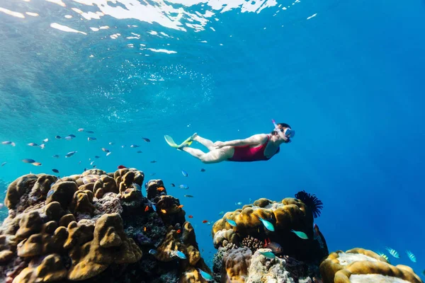 Onderwater Foto Van Vrouw Snorkelen Vrij Duiken Een Helder Tropisch — Stockfoto