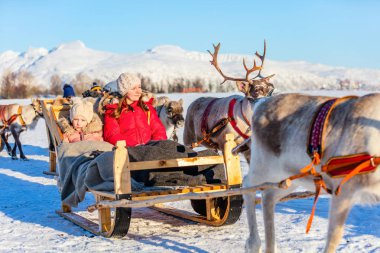 Family of mother and her daughter at reindeer safari on sunny winter day in Northern Norway clipart