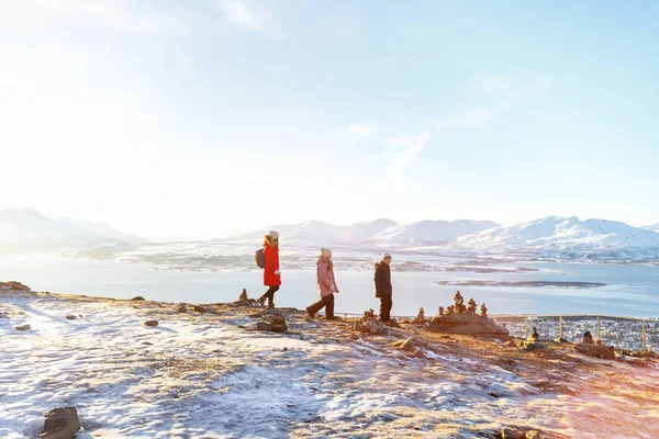 Beautiful Family Mother Kids Have Pleasant Time Snowy Winter Day — Stock Photo, Image